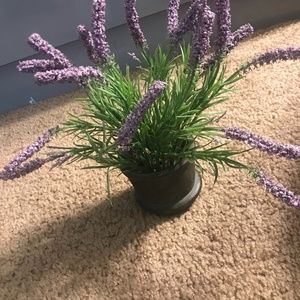 Fake Lavender Plant